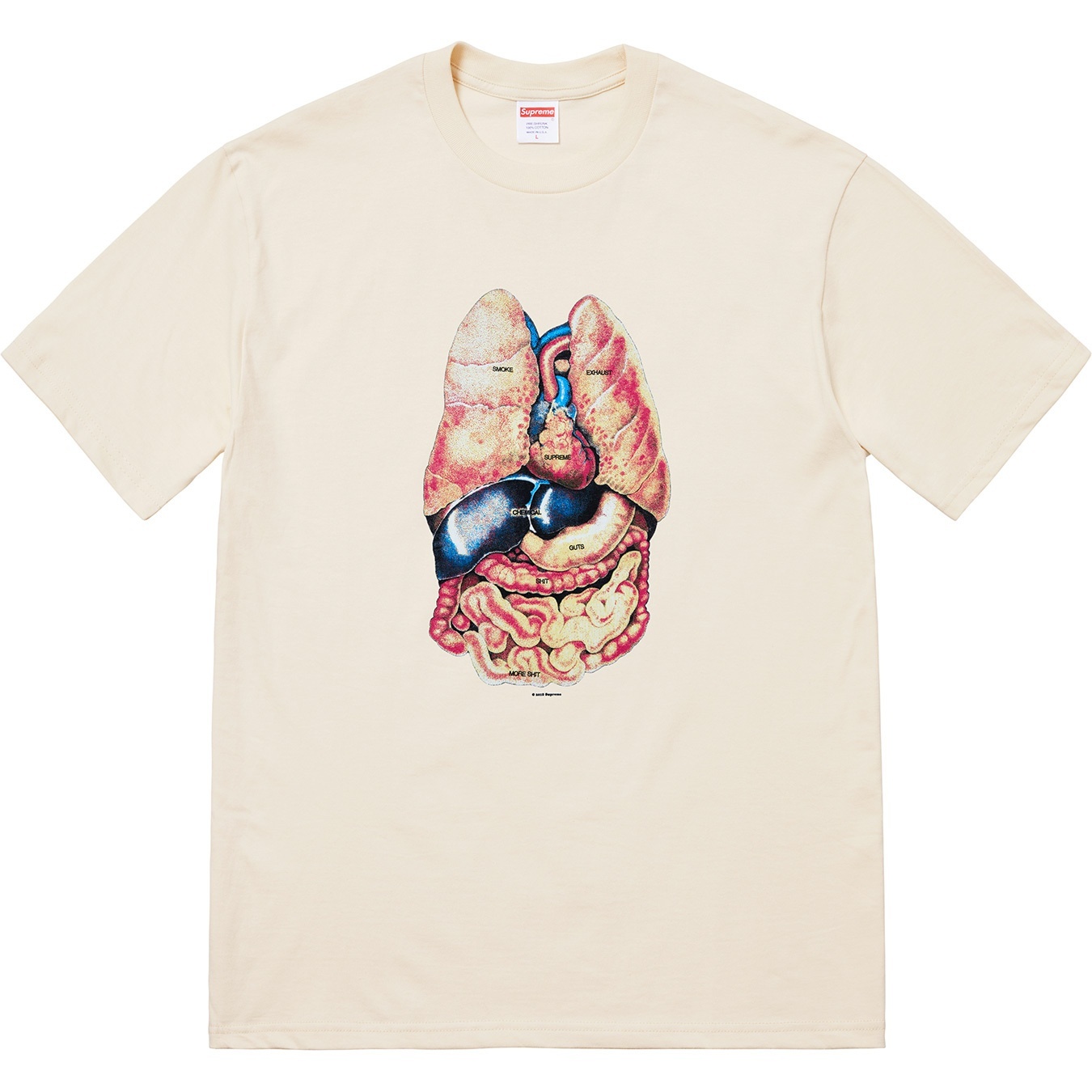 Guts Tee view 4